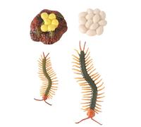 FIXOSHEE Centipede Life Cycle Model Educational Toy for Boys and Girls Realistic Arthropod Growth Cycle Demonstration Set for Biology Learning and Classroom Teaching