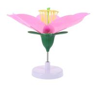 FIXOSHEE Enlarged Peach Blossom Biology Model Artificial Flower Structure Teaching Tool for Middle High School Education Interactive Botanical Learning Aid