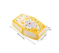 FIXOSHEE Enlarged Plant Cell Model for Classroom Biology Teaching Plastic Anatomical Structure Visual Aid for Middle School Science Education