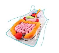 FIXOSHEE Human Body Anatomy Apron for Preschool Boys and Girls Educational Internal Organs Apron School Teaching Aid for Early Learning