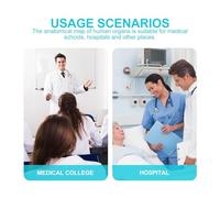 FIXOSHEE Human Heart Anatomical Chart Font Educational Decorative Pendant for Classroom Laboratory Living Wall Art