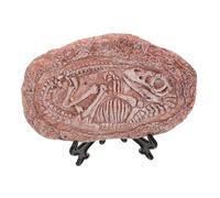 FIXOSHEE Imitation Trilobite Fossil Decoration Vintage Paleontological Specimen for Reptile Tank Ornamentation Lightweight Teaching Tool for Home Use Unique Addition to Collections