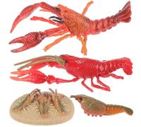 FIXOSHEE Lifelike Lobster Growth Cycle for Educational Animal Models for Science Learning Lightweight Plastic Lobster Life Cycle Figures for Early Cognitive Development and Imaginative Play