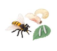 FIXOSHEE Realistic Bee Growth Model Educational Simulation Kit for Detailed Insect Life Cycle Figurine and Safe Material for Early Learning and Science Projects