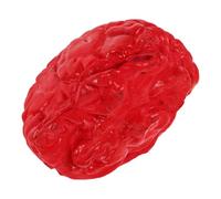 FIXOSHEE Realistic Halloween Fake Brain Prop for Haunted Houses Creepy Human Brain Model for Spooky Party Decorations Authentic Tabletop Horror Accent Versatile Scary Festive Supply