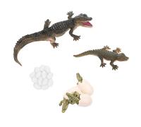 FIXOSHEE Realistic Life Cycle Figure Early Education Animal Model for Growth Simulation for Preschool Learning and Storytelling Educational Prop
