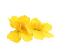 FIXOSHEE Realistic Narcissus Flower Hairpin Faux Daffodil Floral Barrette Secure Side Clip for Taming Bangs and Everyday Updo Hair Accessories Women