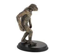FIXOSHEE Realistic Prehistoric Man Action Figure Plastic Gorilla Model for Educational Use Teaching Human Evolution Animal Behavior Science Project for Boys