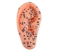 FIXOSHEE Realistic Soft Silicone Ear Model 14Cm with Acupoints for Acupuncture and Chinese Medicine Education, Human Body Part Model for Massage Practice and Teaching