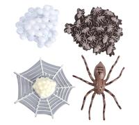 FIXOSHEE Realistic Spider Life Cycle Model Educational Animal Display Ornament for Learning Storytelling Party Decor and Preschool Teaching Aid