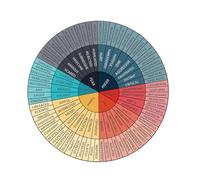 FIXOSHEE Self-Adhesive Feeling Wheel Sticker for Laptop and Classroom Emotional Awareness Tool for Vibrant Decorative Psychology Wheel for Kindergarten Teaching
