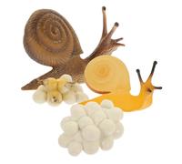 FIXOSHEE Snail Growth Cycle Educational Realistic Snail Life Phase Model for Learning Biology Plastic Material Cognitive Plaything and Home Decoration