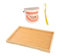FIXOSHEE Teeth Brushing Educational Teaching Model with Material and Bamboo Tray Preschool Cognitive Care Tool for Motor Skills Development