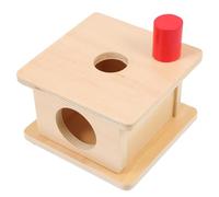 FIXOSHEE Wooden Cylinder Box Montessori Educational for, Hand-Eye Coordination Cognitive Plaything, Fine Motor Skill Teaching Aid for Early Childhood Learning