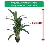 Fixtures Artificial Dracaena Fragrans Green Tree 120cm