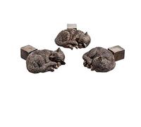FIYSON 3 Pcs/set Plant Pot Feet,Flower Plant Pot Risers Resin Cute Animal Shape Planter Support Stand,Decorative Pot Support Feet for Indoor and Outdoor to Improve Airflow and Drainage (Cat)