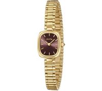 FIYTA Gold Watches for Women Vintage Ladies Wrist Watches Stainless Steel Dainty Small Gold Watch with Link Removal Tools and Gift Box for Women and Love Ones, Gold/Brown, Vintage