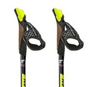 Fizan R-evolution Poles
