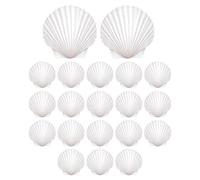 Fizepgo Small Shells for Crafts | DIY Decorating | DIY Baking Sea Shells | for Artists Bakers Hobbyists Adults Kids Painters Home Apartment Living Room Bedroom Study Aquarium