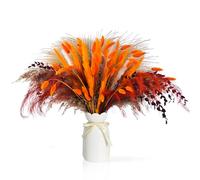 FIZERDMX 101PCS Dried Pampas Grass Mix Bouquet Contains Bunny Tails Dried Flowers and Reed Grass etc. for Boho Home Decor,Fall Arrangement,Centerpiece Table Decor,Rustic Farmhouse Decor,Wedding Decor