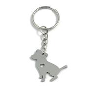 FizzyButton Gifts Pitbull Terrier Puppy Dog Keyring Key Ring with Stainless Steel Silhouette Charm and Turquoise Gift Box