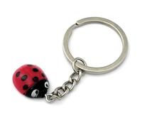 FizzyButton Gifts Resin Ladybird Charm Keyring Key Ring with Silver Tone Keychain