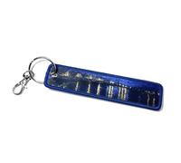FizzyButton Gifts Van Gogh Starry Night Over the Rhone Keyring Key Ring Luggage Tag with Lobster Clasp