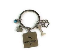 FizzyButton Gifts Weimaraner Puppy Dog Keyring Key Ring with Turquoise Rhinestone and Stainless Steel Bone, Paw and Heart Charms