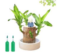 fjaldjfu 2025 New Brazilian Tree, Brazilian Lucky Wood Plant Pots Indoor, Wood Stump Desktop Decor with Monk Statues, Purifying Indoor Air, for Bedroom, Living Room, Study, Balcony (A4)