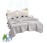 fjaldjfu Silk Cooling Blanket, 100% Cool Ice Silk Cooling Blanket for Hot Flashes, Double Side Breathable Summer Bedding for Hot Sleepers Must Haves, Lightweight, King Size (Grey,Queen)