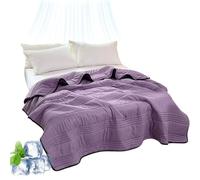 fjaldjfu Silk Cooling Blanket, 100% Cool Ice Silk Cooling Blanket for Hot Flashes, Double Side Breathable Summer Bedding for Hot Sleepers Must Haves, Lightweight, King Size (Purple,Queen)