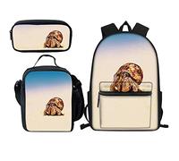 FJAUOQ Kids Boys Hermit Crab School Backpack For Primary Elementary Middle 15 Inch Backpack And Lunch Bag Set For Girls