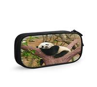 FJAUOQ Panda Large Capacity Pen Pencil Case Adorable Animal Funny Big Bear Sleeping On The Tree Branch Zoo Wildlife Simple Stationery Bag Holder for School Office Student Girls Boys