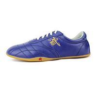 FJJLOVE Wear-Resistant Taekwondo Shoes, Karate Boxing Shoe Non-Slip Kung Fu Tai Chi Sneakers for Men Women Kids Children Teenager Adults,Blue,8 UK