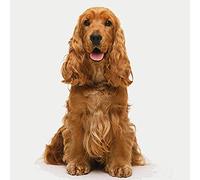 FJKEFJH Cross Stitch kit, Cocker Spaniel 40X50cm 14CT DIY Easy Stamped Embroidery Starter Kit Supplies Needlework Counted Needlework Craft