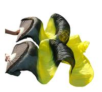 FJOADNVM Belly Dance Fans Chinese Silk Veils Dance Fans Pair Of Belly Dancing Mix Color(Light Green,L-180cm-1pair(2pcs))