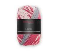 Fjord by Pro Lana - Color 83 - 100 g / approx. 350 m Wool