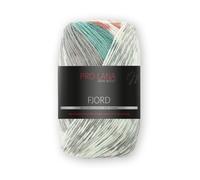 Fjord by Pro Lana - Color 95 - 100 g / approx. 350 m Wool