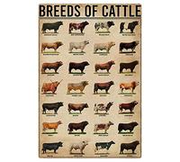 FJQWKLF Breeds Of Cattle Metal Tin Signs Cattle Knowledge Infographic Posters Farmer Reference Guide Plaques Home Farmhouse Farm Wall Decor 8x12 Inches