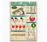 FJQWKLF Cricket Knowledge Metal Signs Cricket Technology Tricks Infographics Club Posters Home Room Wall Decor 12x16 Inches