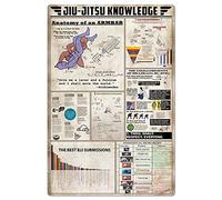 FJQWKLF Jiu- Jitsu Knowledge Metal Signs Vintage Martial Arts Hall Wall Decor Anatomy Of An Armbar Tin Posters Jiu Jitsu Basics Infographic Plaque For Home Room 8x12 Inches