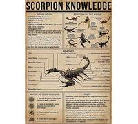 FJQWKLF Scorpion Knowledge Metal Tin Signs Scorpion Reference Infographic Posters Education Plaque Home Study Classroom Bedroom Wall Decor 8x12 Inches