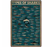 FJQWKLF Shark Breed Retro Metal Tin Signs Types Of Sharks Posters Shark Knowledge Educational Plaques Home Farmhouse Classroom School Guide Wall Decor 8x12 Inches