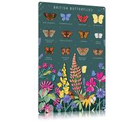 FJQWKLF Types Of Butterfly Metal Tin Signs British Butterflies Chart Poster Butterfly Encyclopedia Knowledge Metal Plaque Classroom Office Wall Decor 12x16 Inches