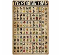 FJQWKLF Types Of Minerals Posters Popular Science Knowledge Wall Decor Metal Signs Mineral Education Home Decor Room Decor Vintage Printing Plaque 8x12 Inches