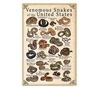 FJQWKLF Types Of Venomous Snakes Metal Tin Signs Venomous Snakes Of The United States Posters Educational Knowledge For Children Plaques Home Classroom Study Science Wall Decor 8x12 Inches