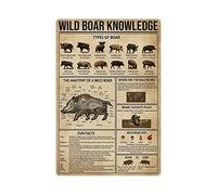 FJQWKLF Wild Boar Knowledge Metal Tin Signs Wild Boar Infographic Posters Wild Animal Encyclopedia Plaques Education Wall Decor For Home Room Classroom Office 8x12 Inches