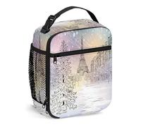FJQWKLF Winter Lunch Bag Reusable,Winter Day in Paris Streets Eiffel Tower,Small Lunch Box for Men Women Insulated Portable Lunchbox for Adults Suitable for Work Picnic,Pink White