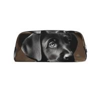 FJWSLCH Black Labrador Puppy Makeup Bag Travel Cosmetic Bag for Women Men Pencil Case Zipper Toiletry Bag Purse, Silver, One Size