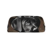 FJWSLCH Black Labrador Puppy Makeup Bag Travel Cosmetic Bag for Women Men Pencil Case Zipper Toiletry Bag Purse, Gold, One Size